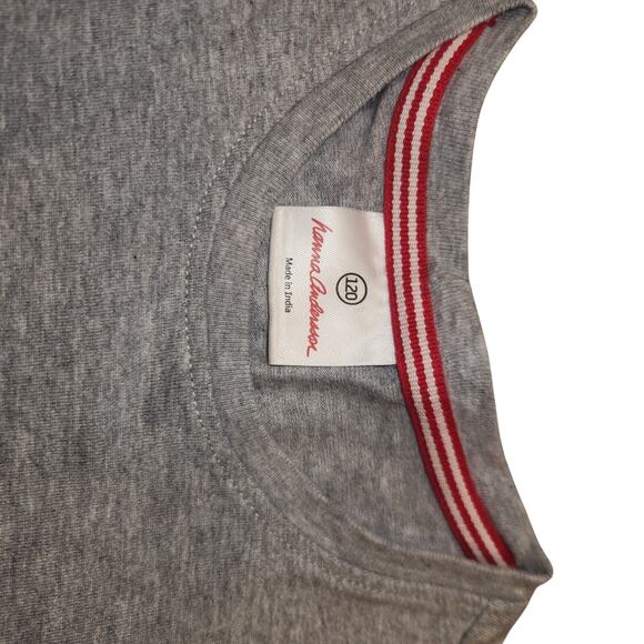 Hanna Andersson 120 Gray Tshirt With Flower Arrangement EUC - Picture 2 of 3
